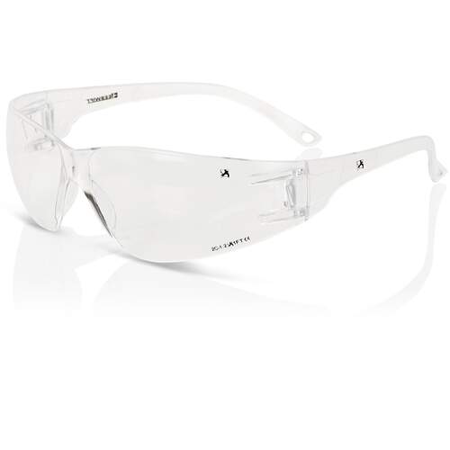 Wrap Around Spectacle  Clear