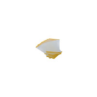 Purelite Visor Overlays Clear