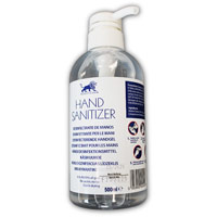 Blue Lion Hand Sanitiser with Pump � 500ml