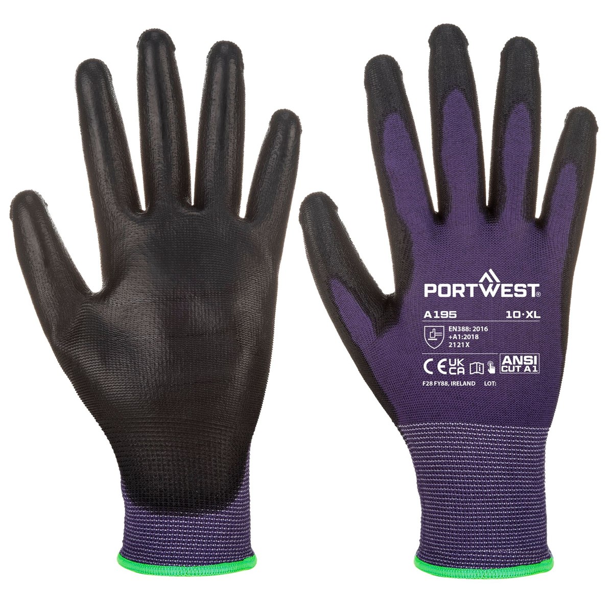 Purple/Black
