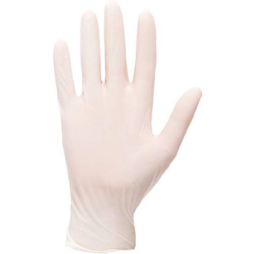 Portwest Powdered Latex Disposable Glove - White
