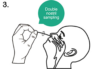 Test Procedure - Nasopharyngeal (Nose) Swab Method